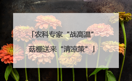 农科专家“战高温” 菇棚送来“清凉策”