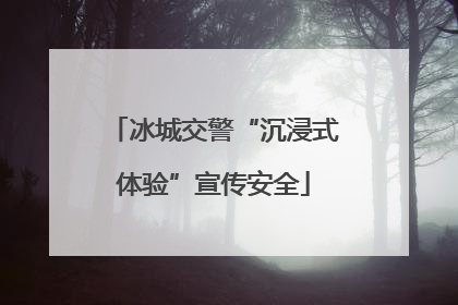 冰城交警“沉浸式体验”宣传安全