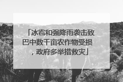 冰雹和强降雨袭击致巴中数千亩农作物受损，政府多举措救灾