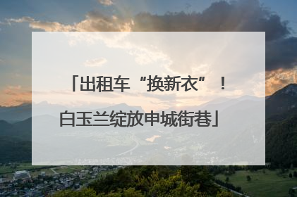 出租车“换新衣”！白玉兰绽放申城街巷