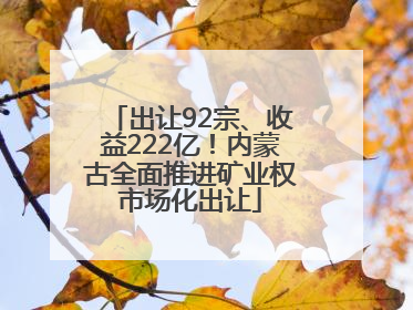 出让92宗、收益222亿！内蒙古全面推进矿业权市场化出让