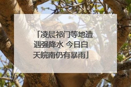 凌晨祁门等地遭遇强降水 今日白天皖南仍有暴雨