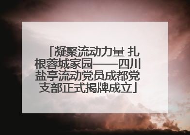 凝聚流动力量 扎根蓉城家园——四川盐亭流动党员成都党支部正式揭牌成立