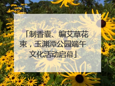 制香囊、编艾草花束，玉渊潭公园端午文化活动启幕