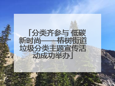 分类齐参与 低碳新时尚——椿树街道垃圾分类主题宣传活动成功举办