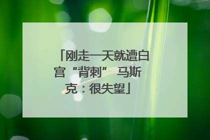 刚走一天就遭白宫“背刺” 马斯克：很失望