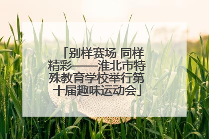 别样赛场 同样精彩——淮北市特殊教育学校举行第十届趣味运动会