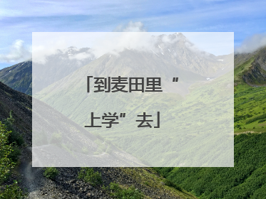 到麦田里“上学”去