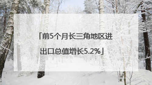 前5个月长三角地区进出口总值增长5.2%