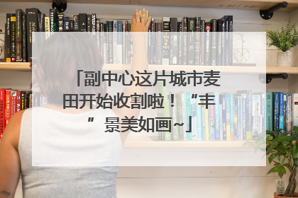 副中心这片城市麦田开始收割啦！“丰”景美如画~