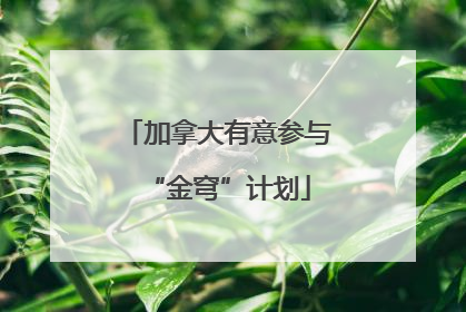 加拿大有意参与“金穹”计划
