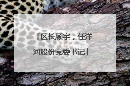 区长顾宇，任洋河股份党委书记