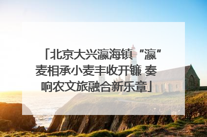 北京大兴瀛海镇“瀛”麦相承小麦丰收开镰 奏响农文旅融合新乐章