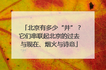北京有多少“井”？它们串联起北京的过去与现在、烟火与诗意