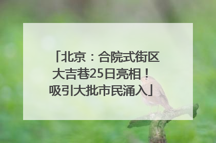 北京：合院式街区大吉巷25日亮相！吸引大批市民涌入