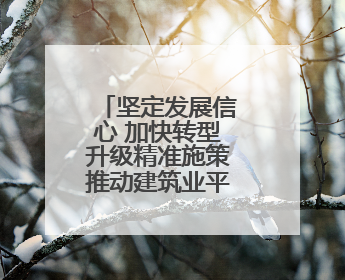 坚定发展信心 加快转型升级精准施策推动建筑业平稳健康发展