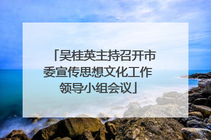 吴桂英主持召开市委宣传思想文化工作领导小组会议