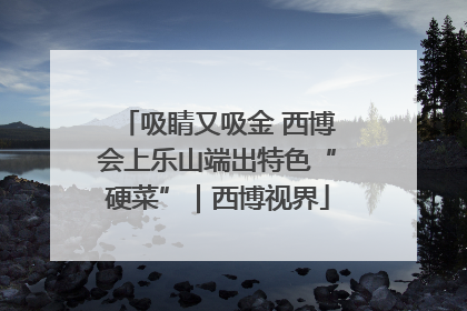吸睛又吸金 西博会上乐山端出特色“硬菜”｜西博视界