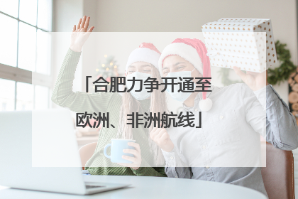 合肥力争开通至欧洲、非洲航线