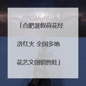 合肥暑假荷花经济红火 全国多地花艺文创销售旺