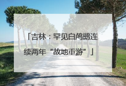 吉林：罕见白鸬鹚连续两年“故地重游”