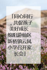 同心同行，共促孩子美好成长 绵阳游仙区新桥镇云凤小学召开家长会