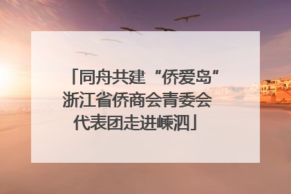 同舟共建“侨爱岛” 浙江省侨商会青委会代表团走进嵊泗