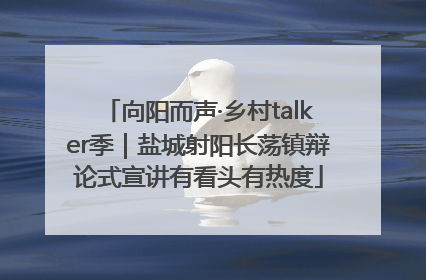 向阳而声·乡村talker季｜盐城射阳长荡镇辩论式宣讲有看头有热度