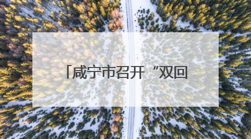 咸宁市召开“双回双创”工作推进会