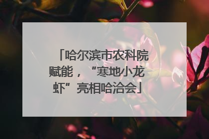 哈尔滨市农科院赋能，“寒地小龙虾”亮相哈洽会