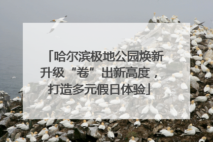 哈尔滨极地公园焕新升级“卷”出新高度，打造多元假日体验