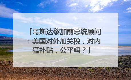 哥斯达黎加前总统顾问：美国对外加关税，对内猛补贴，公平吗？