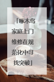 啄木鸟家庭上门维修在规范化中寻找突破