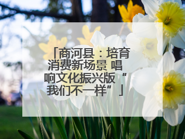 商河县：培育消费新场景 唱响文化振兴版“我们不一样”