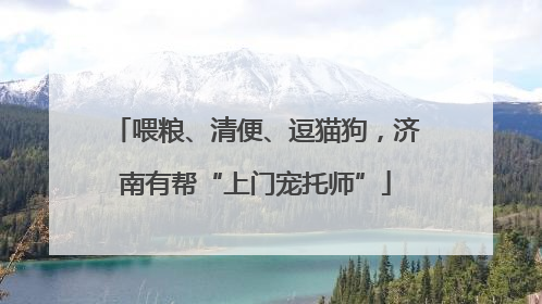 喂粮、清便、逗猫狗，济南有帮“上门宠托师”