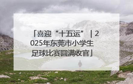 喜迎“十五运”｜2025年东莞市小学生足球比赛圆满收官