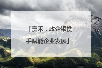 嘉禾：政企银携手赋能企业发展