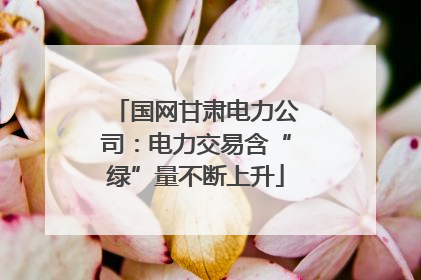 国网甘肃电力公司：电力交易含“绿”量不断上升