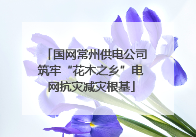 国网常州供电公司筑牢“花木之乡”电网抗灾减灾根基