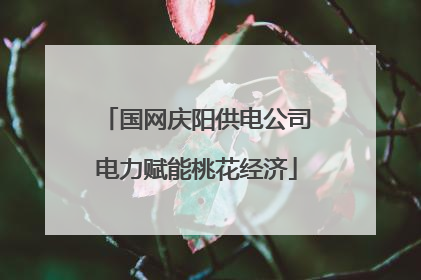 国网庆阳供电公司电力赋能桃花经济