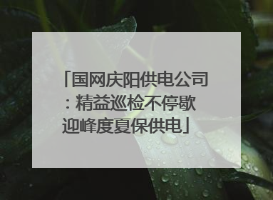 国网庆阳供电公司：精益巡检不停歇 迎峰度夏保供电