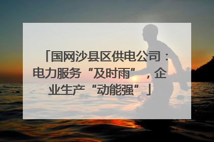 国网沙县区供电公司：电力服务“及时雨”，企业生产“动能强”