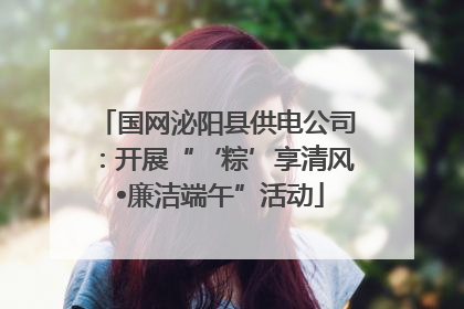 国网泌阳县供电公司：开展“‘粽’享清风 •廉洁端午”活动