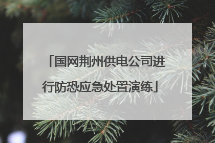 国网荆州供电公司进行防恐应急处置演练