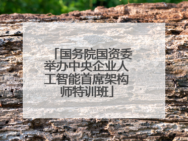国务院国资委举办中央企业人工智能首席架构师特训班