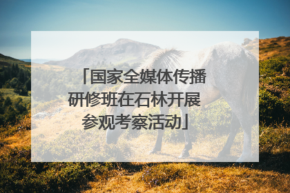 国家全媒体传播研修班在石林开展参观考察活动