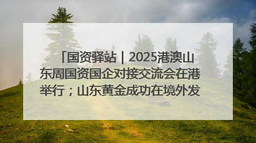 国资驿站｜2025港澳山东周国资国企对接交流会在港举行；山东黄金成功在境外发行3亿美元绿色债券