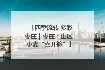 四季流转 多彩枣庄｜枣庄：山区小麦“喜开镰”
