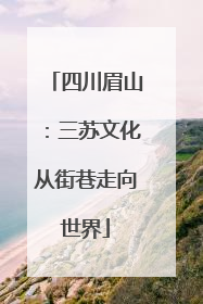 四川眉山：三苏文化从街巷走向世界