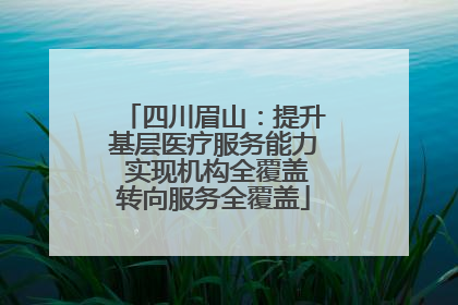 四川眉山：提升基层医疗服务能力 实现机构全覆盖转向服务全覆盖